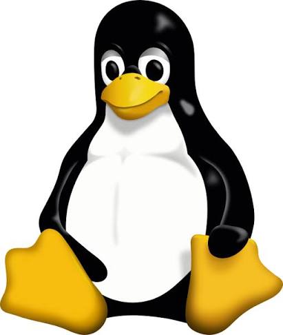 File:Tux.jpg